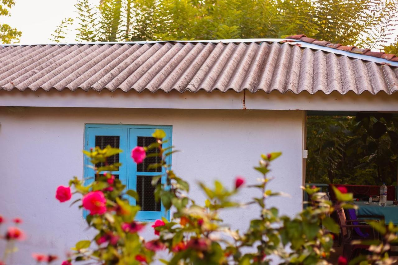Tehan Homestay Dikwella Exteriör bild