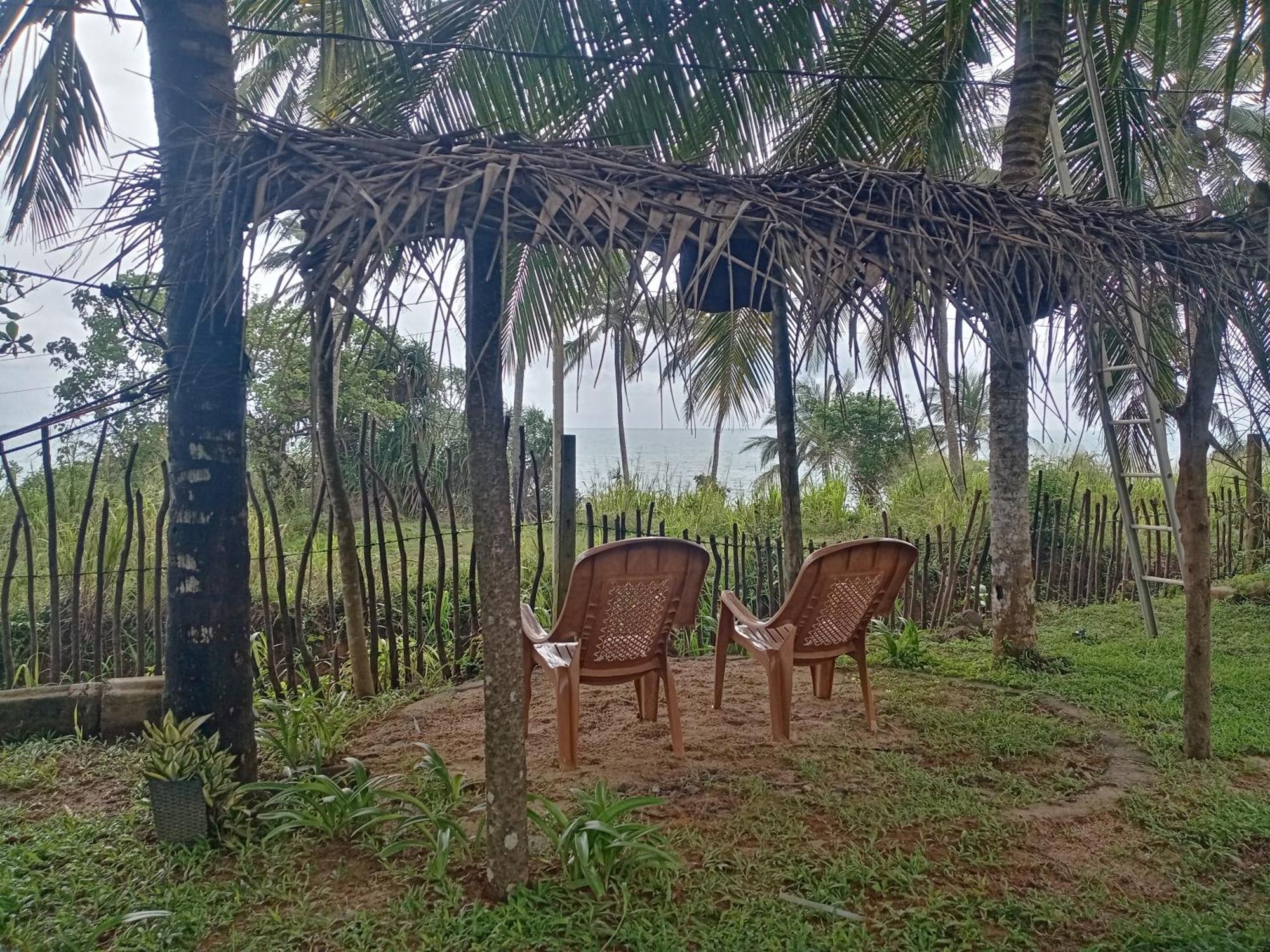 Tehan Homestay Dikwella Exteriör bild