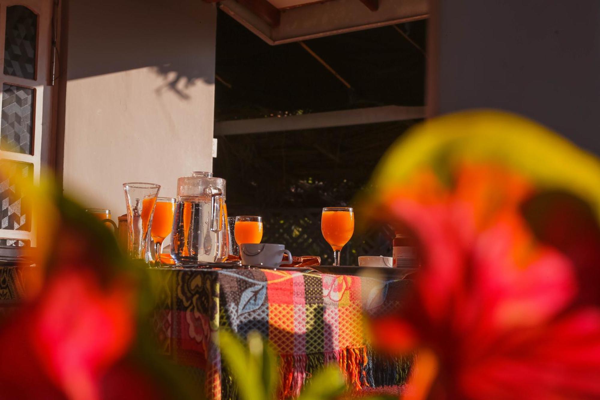 Tehan Homestay Dikwella Rum bild