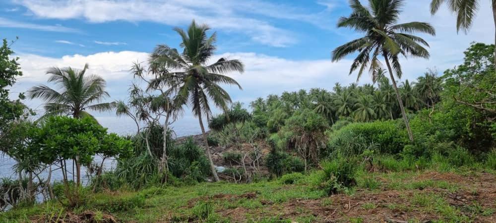 Tehan Homestay Dikwella Rum bild