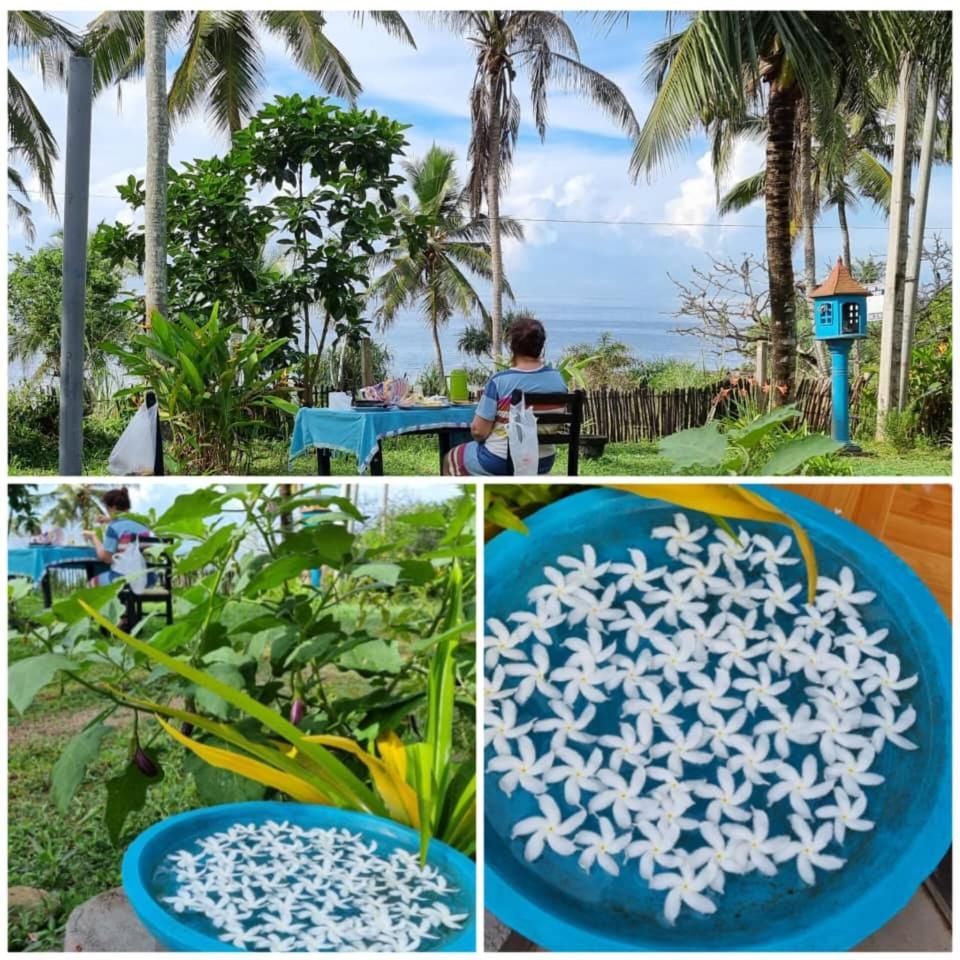 Tehan Homestay Dikwella Rum bild